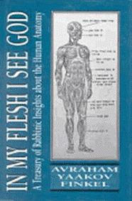Book - In My Flesh I See God