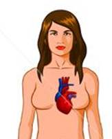 Female Heart