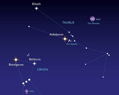 Taurus the Bull and the Pleiades (Seven Sisters)  M'Online