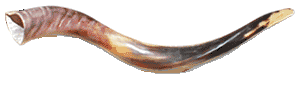 http://www.cybertime.net/~ajgood/images/shofar2.gif