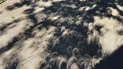 What are the beautiful, crescent-shaped shadows that occur during an eclipse ?