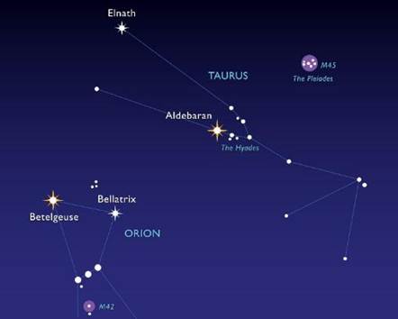 Taurus the Bull and the Pleiades (Seven Sisters) � M'Online