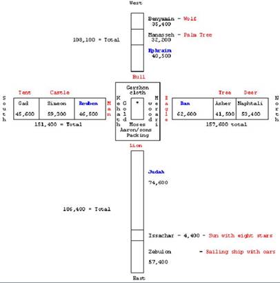 P561C3T7#y1