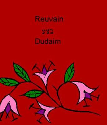 http://www.betemunah.org/tribes_files/image009.jpg
