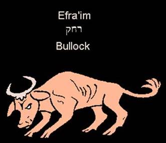 http://www.betemunah.org/tribes_files/image019.jpg