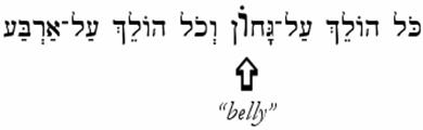 Text

Description automatically generated