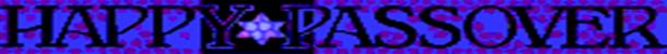 Passover banner.bmp